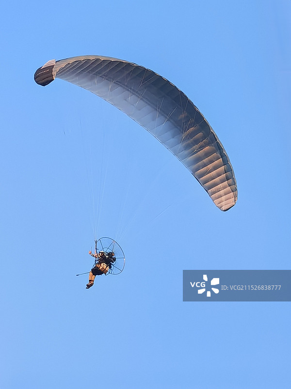 《我要飞翔》图片素材