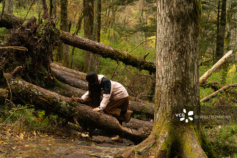神农架林区神农顶金猴岭一个人的冒险图片素材
