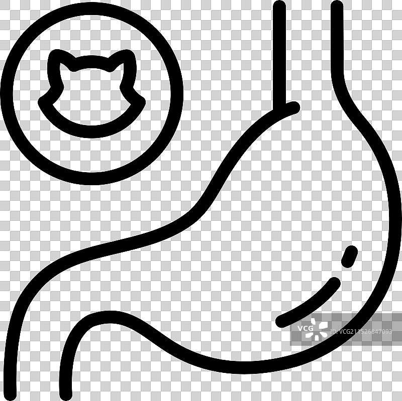 兽医诊所诊断和治疗猫图片素材