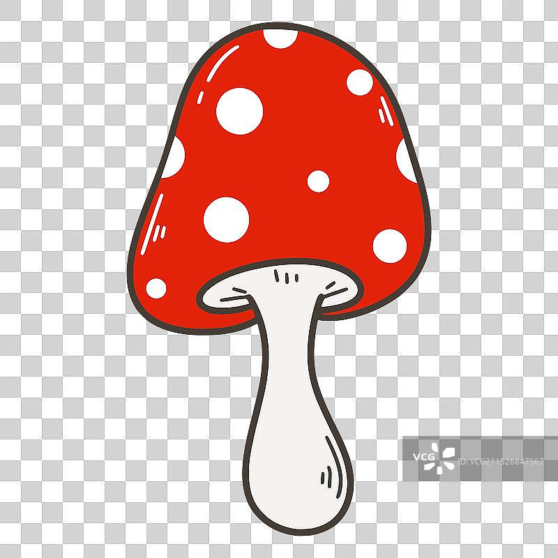 白色背景上的红色毒蝇伞图片素材