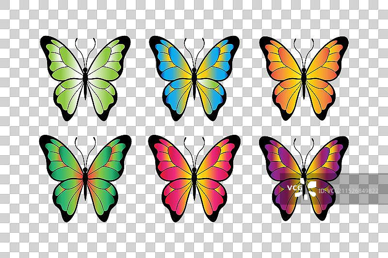 彩色蝴蝶图标图片素材