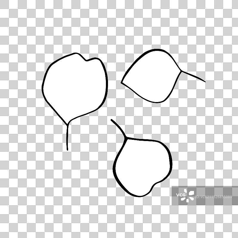 桉树叶剪影图像图片素材