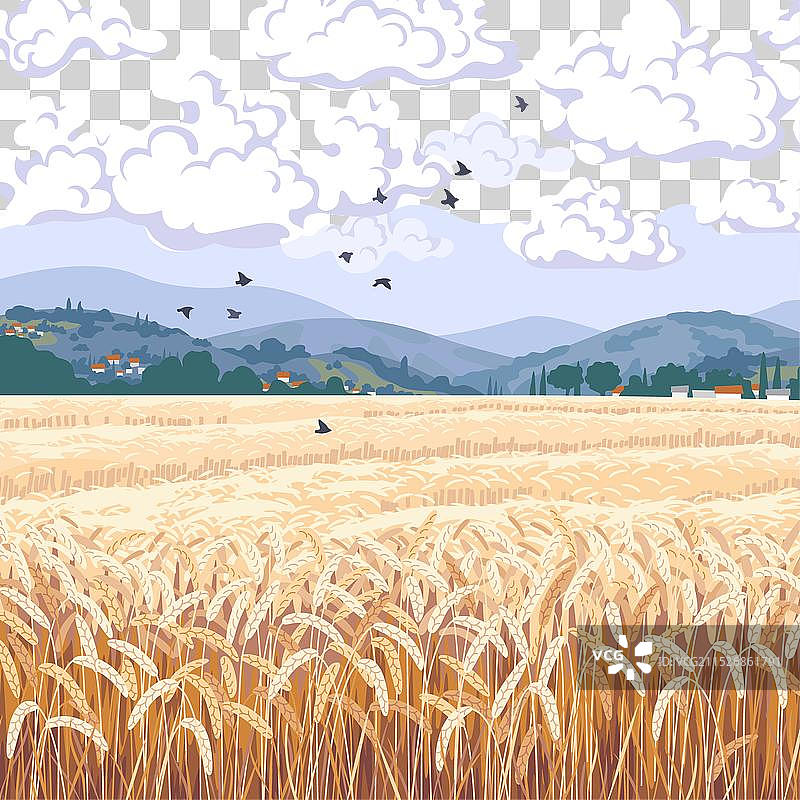 山脉和成熟麦田景观图片素材