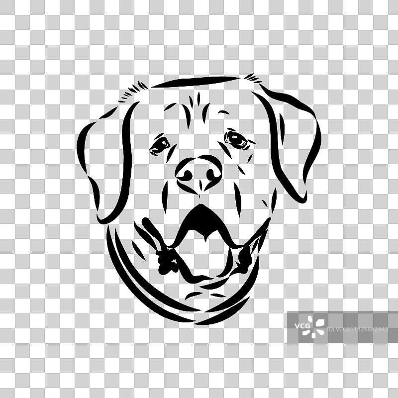 手绘美国斗牛犬图形图片素材