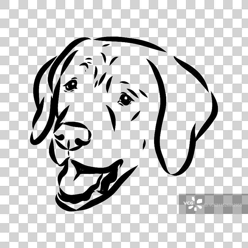 手绘美国斗牛犬图形图片素材