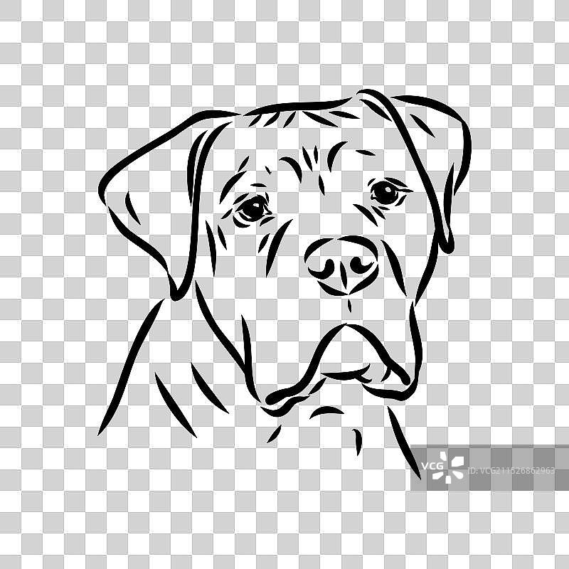 手绘美国斗牛犬图形图片素材