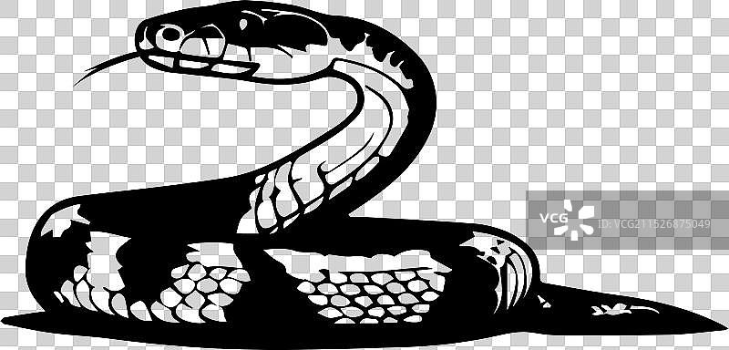 优雅蛇形剪影艺术图片素材