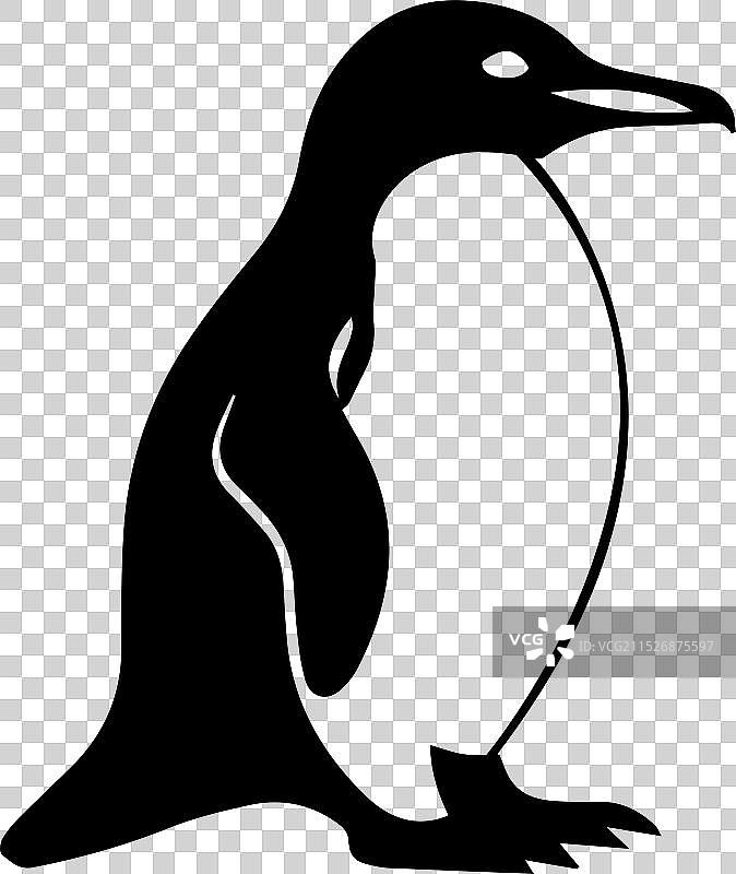 可爱的企鹅冰霜极地设计图片素材