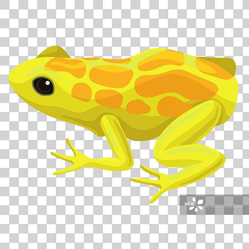 黄色斑点青蛙爬行动物图片素材