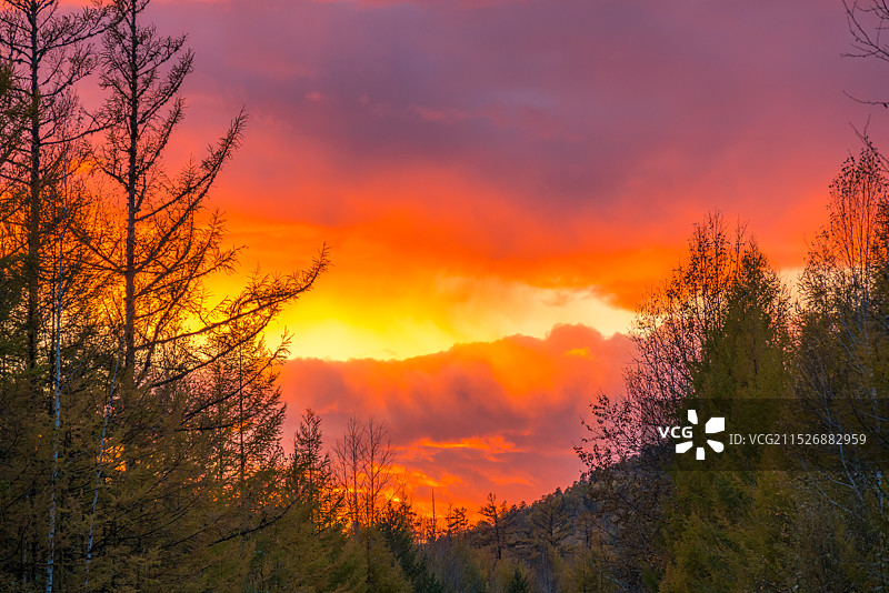 大兴安岭林区晚霞  火烧云图片素材