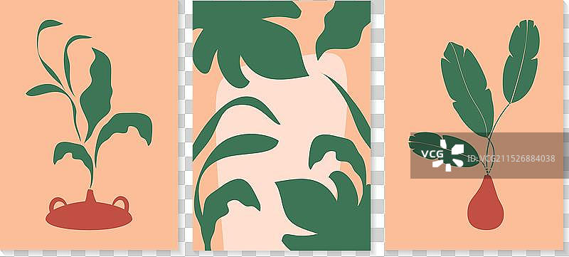 一组植物和自然元素海报图片素材