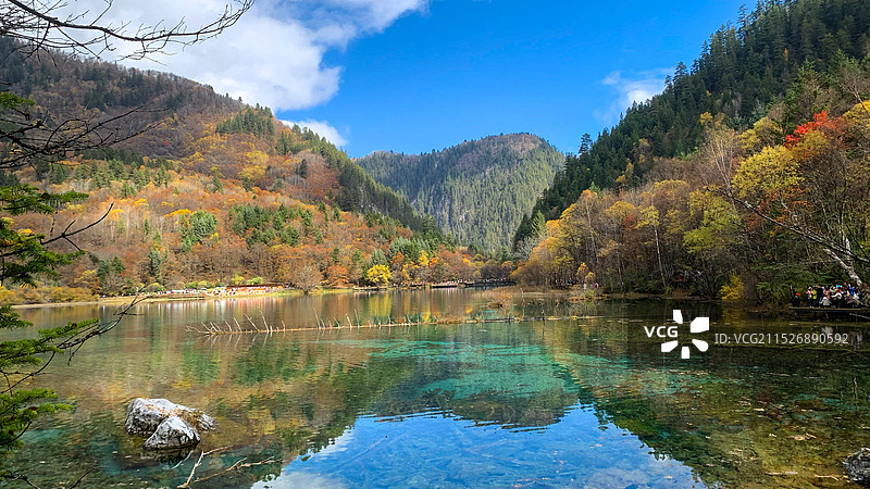 著名景点：金秋时节童话世界九寨沟——金铃海图片素材