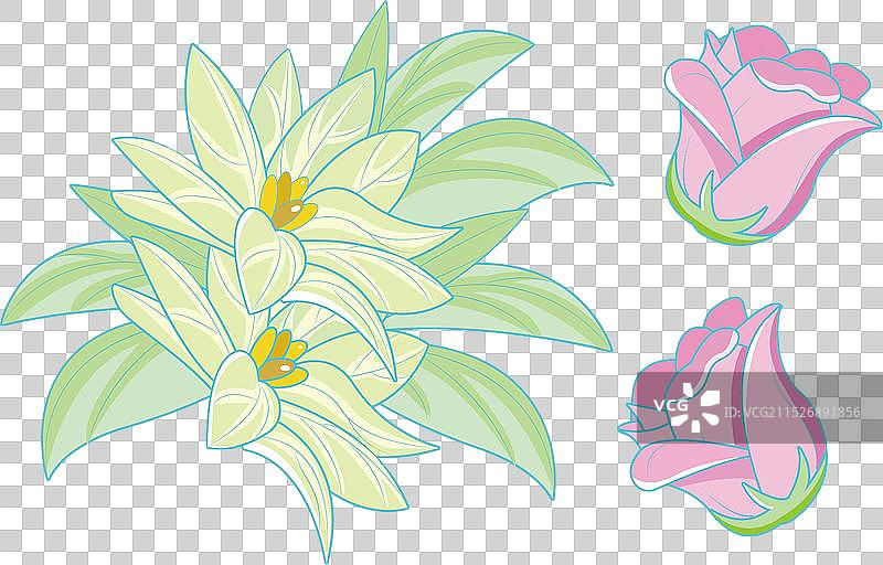 阿尔卑斯山玫瑰图片素材