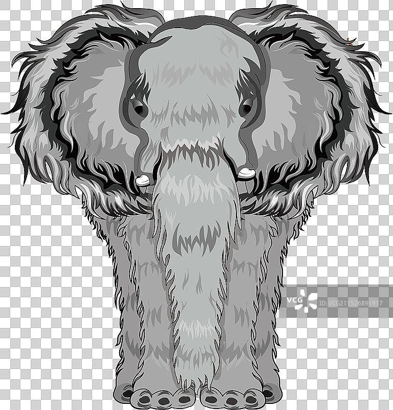 大象黑白灰矢量插画 素材图片素材