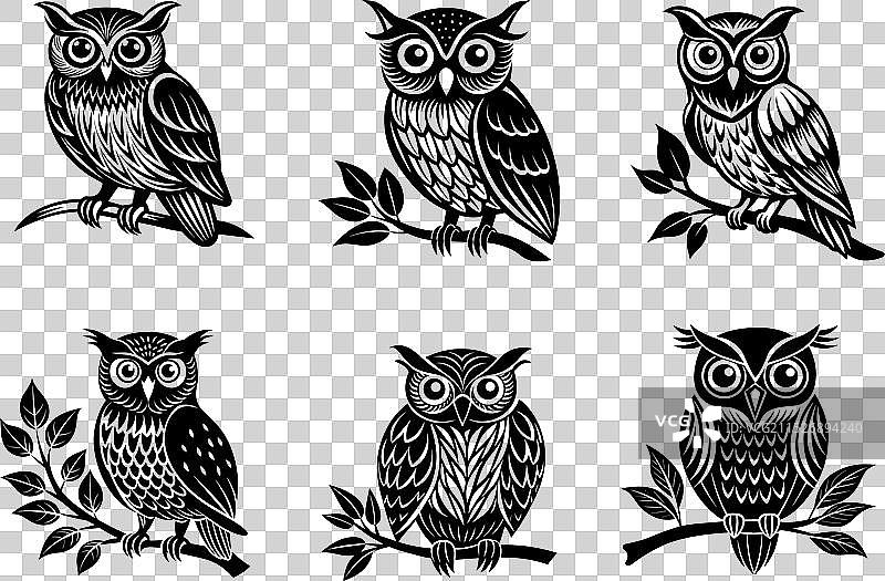 猫头鹰剪影图片素材