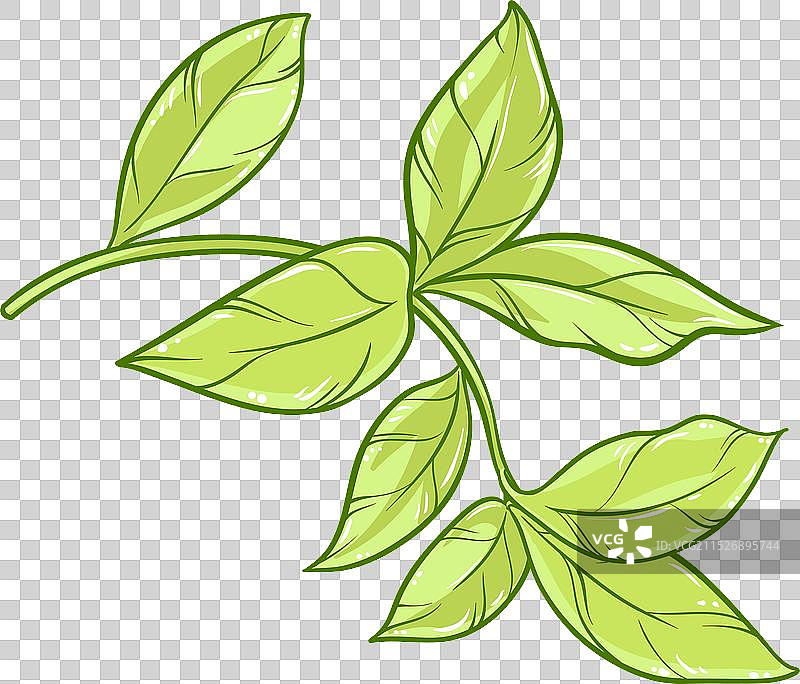 彩色茶树图片素材