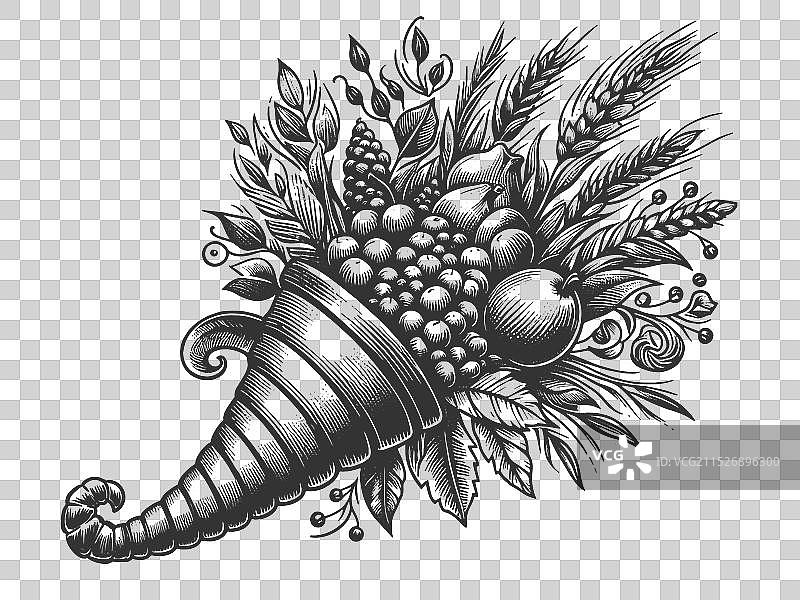 丰饶角收获水果和蔬菜图片素材