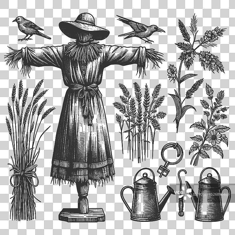 带有稻草人雕刻的农场元素图片素材