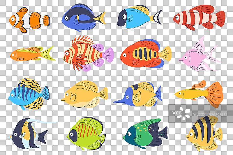 异国情调的彩色海洋鱼类动物套装图片素材