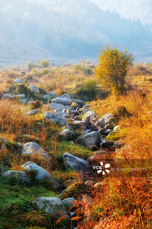 深秋南驼梁山的美景图片素材