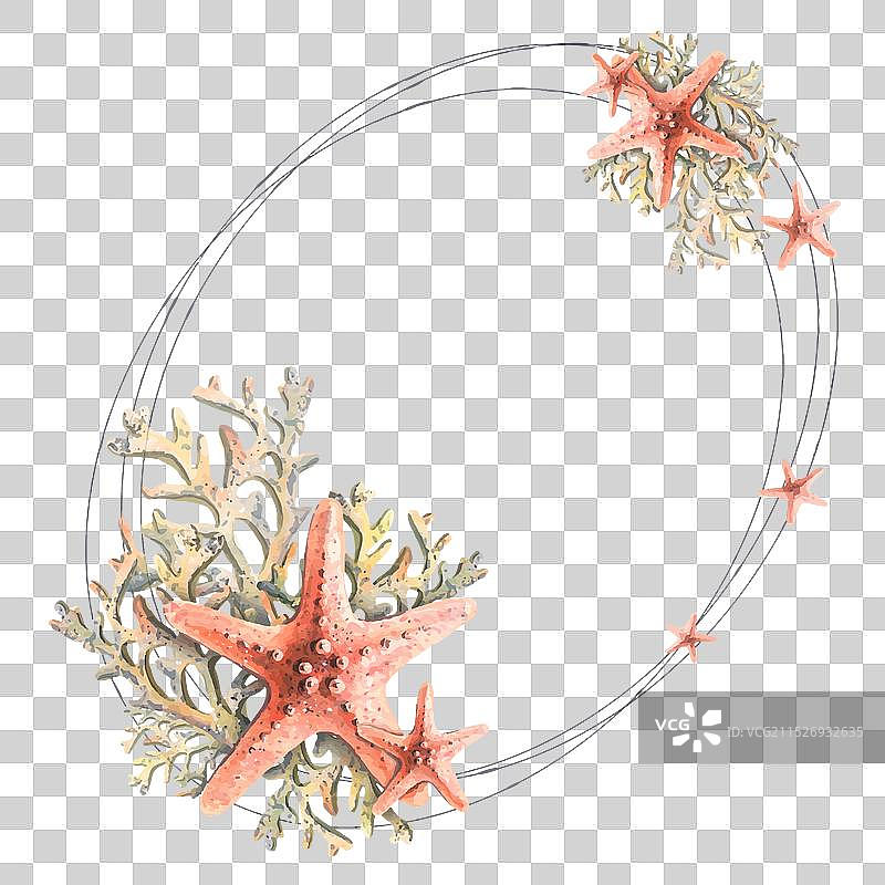 带有海星和珊瑚水彩的椭圆形框架图片素材
