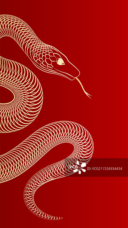 金色蛇形图案插画图片素材