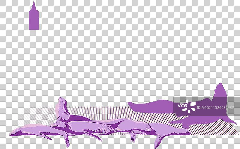 旧金山渔人码头海狮图片素材