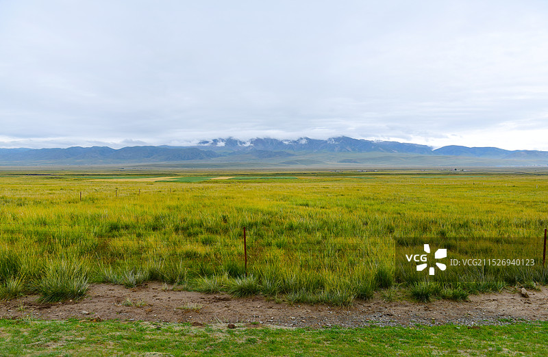青海省海南藏族自治州青海湖景区草原与环湖公路航拍图片素材