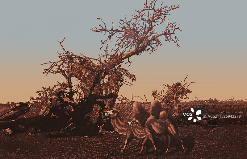 《胡杨礼赞》绝版套色图片素材