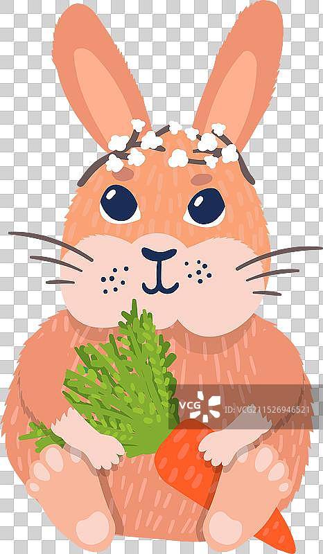 坐着拿着胡萝卜的可爱兔子角色图片素材