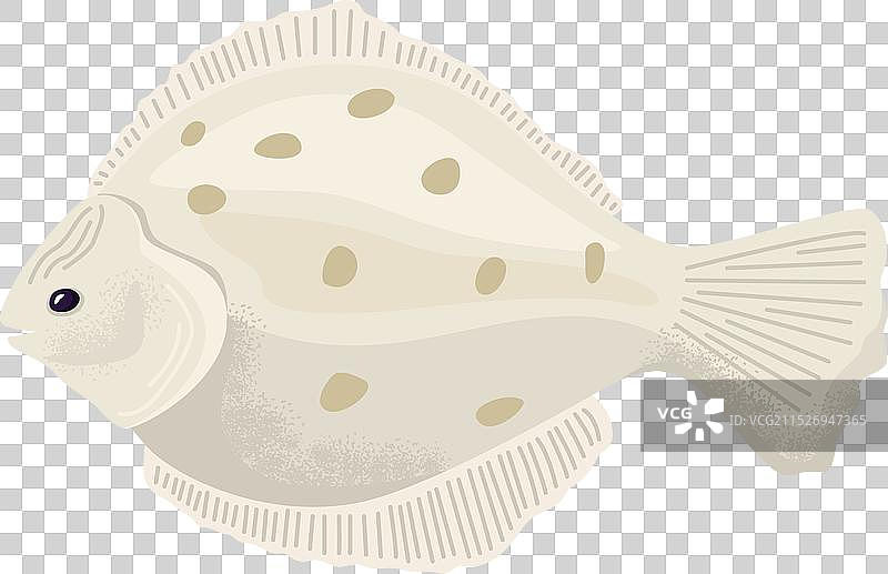 米色比目鱼图片素材