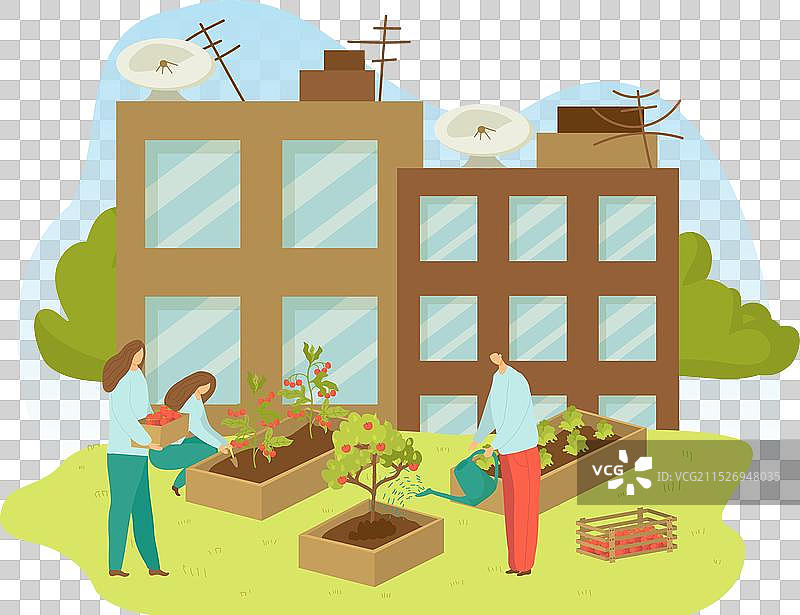 人们一起种植绿色有机植物图片素材