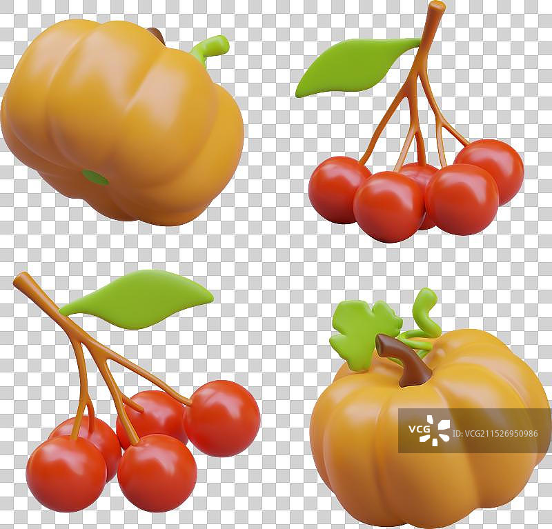 橙色南瓜与红色荚蒾浆果图片素材