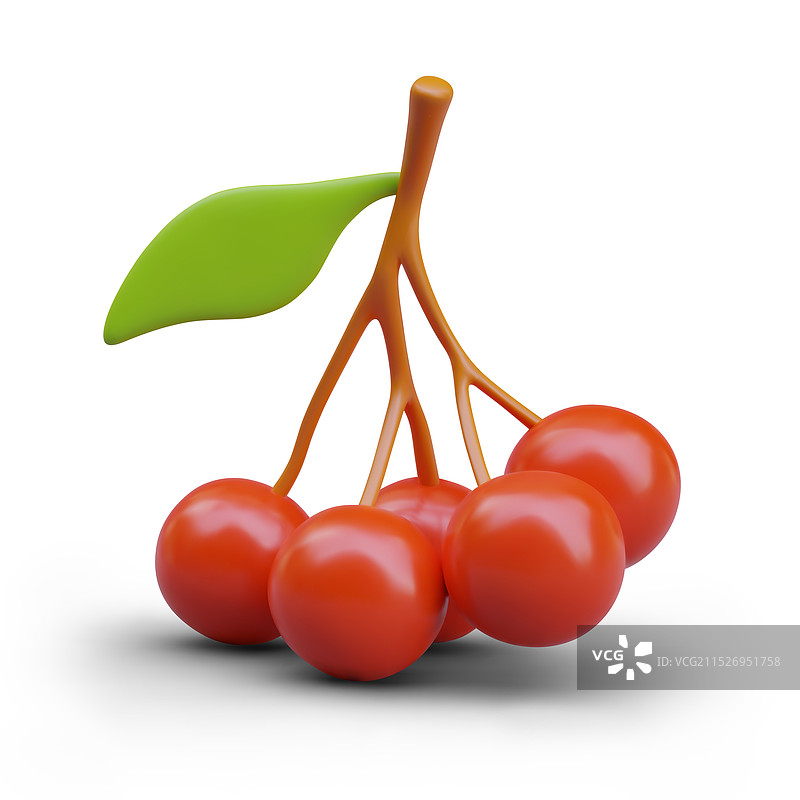 红色荚蒾浆果组合图片素材