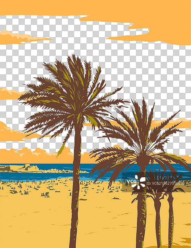 巴塞罗那巴塞罗内塔海滩的棕榈树图片素材