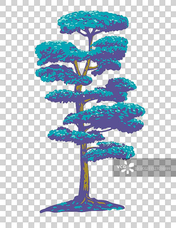 日本黑松盆景WPA艺术图片素材