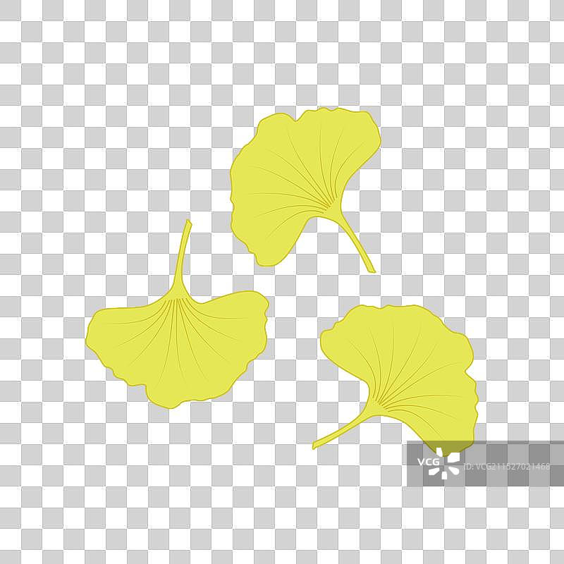 卡通扁平黄色银杏叶图片素材