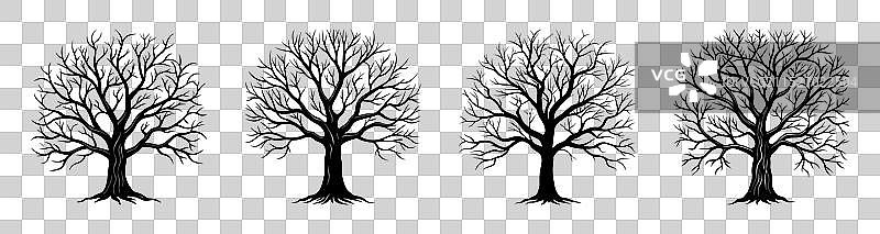 光秃秃的树木剪影合集图片素材