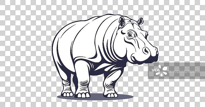 强大的单色河马图形图片素材