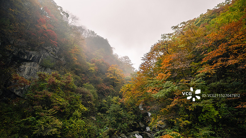 神农架林区神农顶沿途秋色图片素材