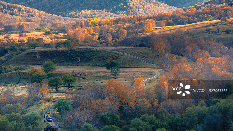 桦木沟秋色图片素材