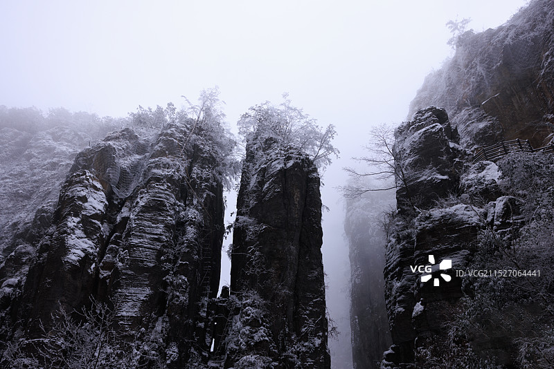 雪中世界地质公园大峡谷迎客松图片素材