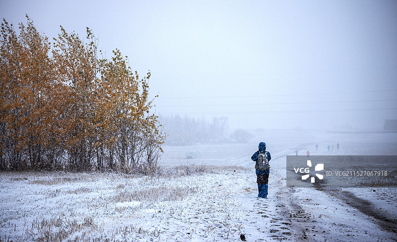 呼伦贝尔的秋与雪图片素材