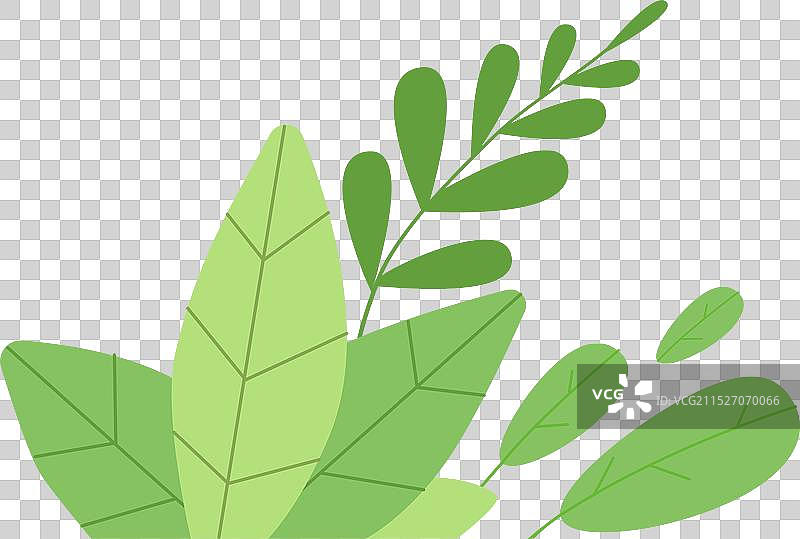 户外植物装饰绿色植物图标图片素材