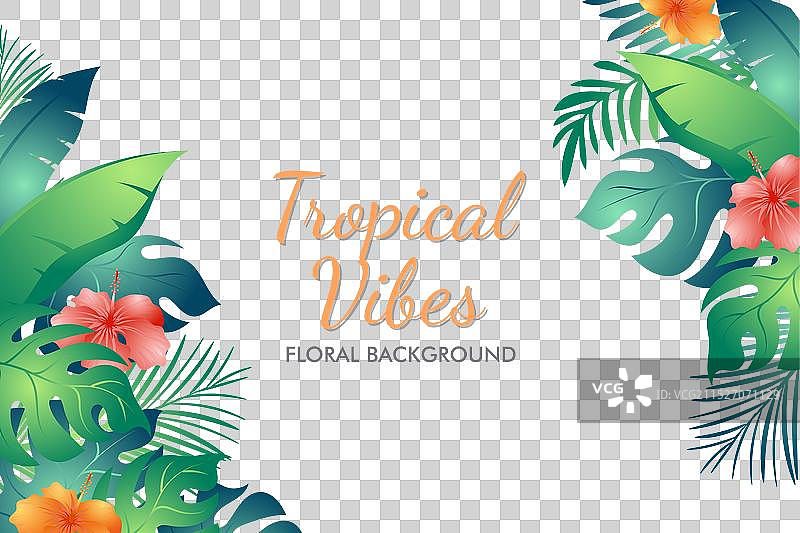 美丽的夏季热带树叶和植物图片素材