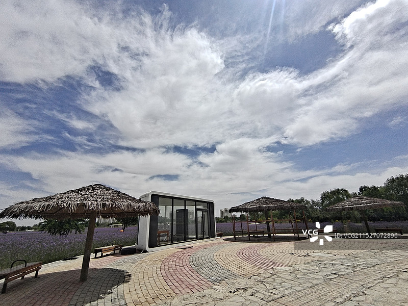 云端花海图片素材