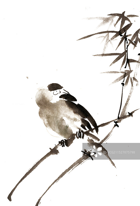 栖息竹枝的小鸟图片素材