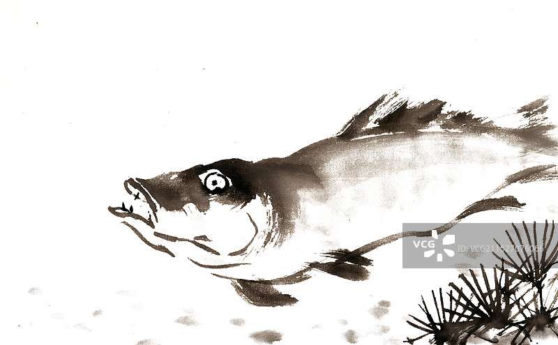 水草与鱼图片素材