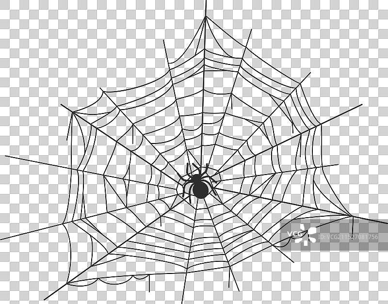 圆形万圣节装饰蜘蛛网图标图片素材