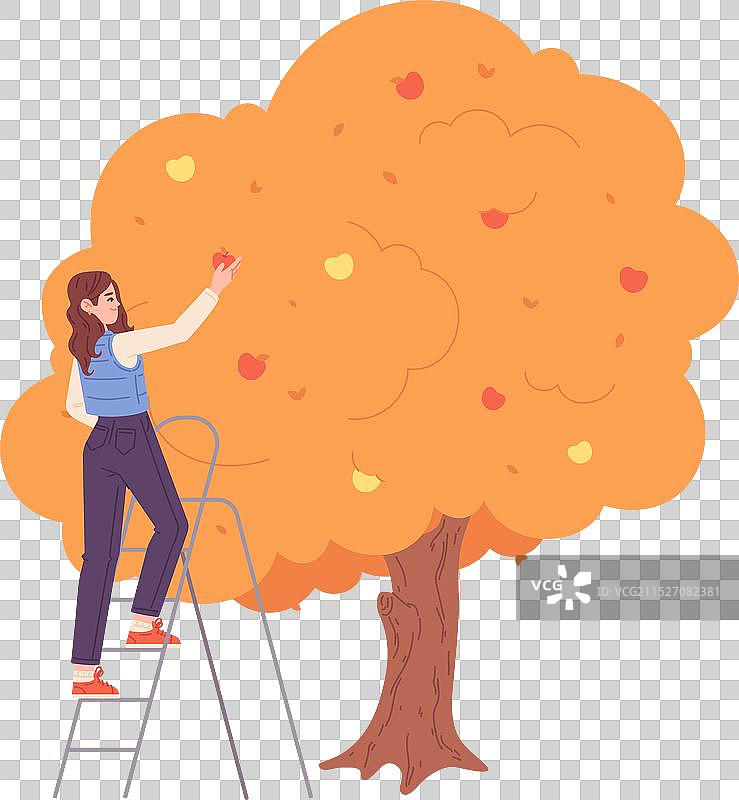 结满成熟果实的秋季苹果树与女性图片素材